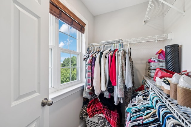 2819 Silver Springs Ct, Murfreesboro, TN 37128 - view of spacious closet