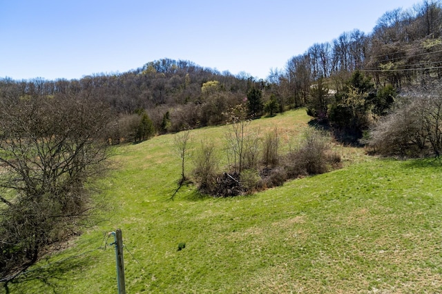 6876 Giles Hill Rd, College Grove, TN 37046 - photo 6