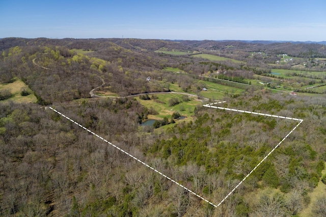 6876 Giles Hill Rd, College Grove, TN 37046 - photo 30