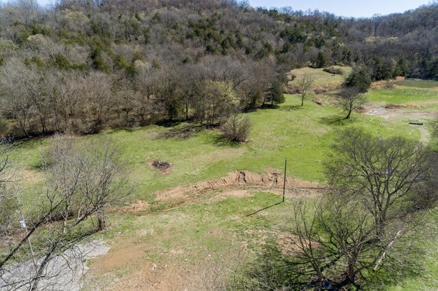 6876 Giles Hill Rd, College Grove, TN 37046 - photo 14