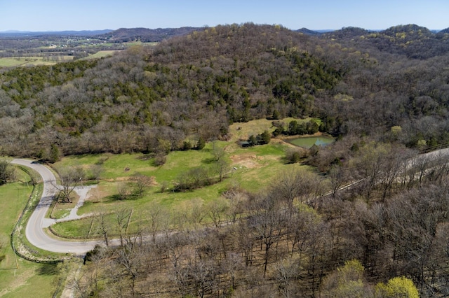 6876 Giles Hill Rd, College Grove, TN 37046 - photo 36
