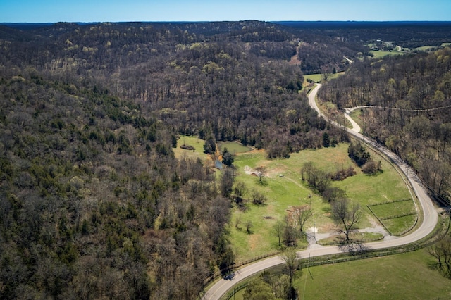 6876 Giles Hill Rd, College Grove, TN 37046 - photo 22