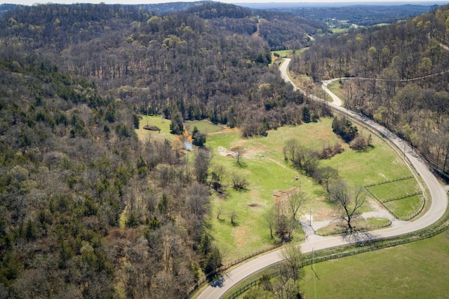 6876 Giles Hill Rd, College Grove, TN 37046 - photo 26