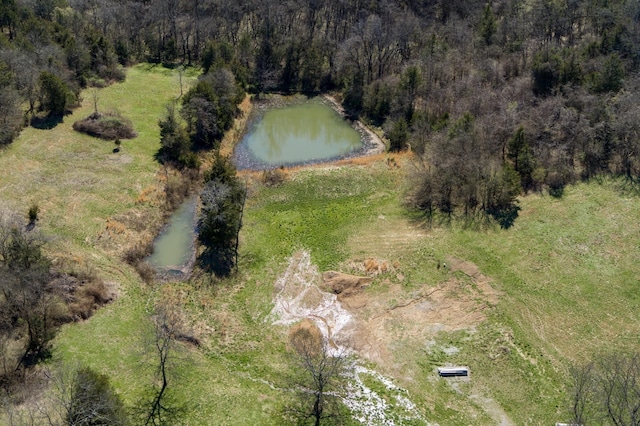 6876 Giles Hill Rd, College Grove, TN 37046 - photo 19