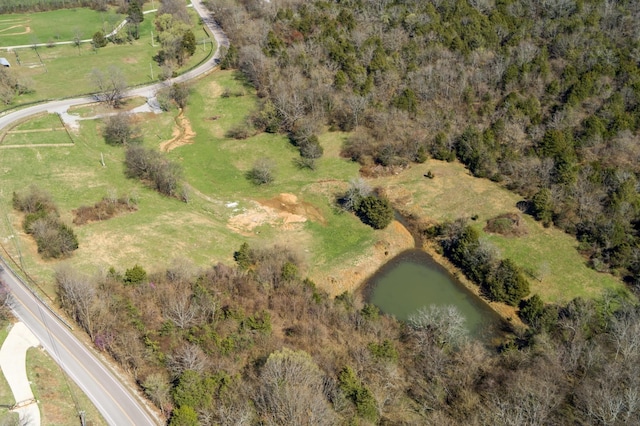 6876 Giles Hill Rd, College Grove, TN 37046 - photo 27