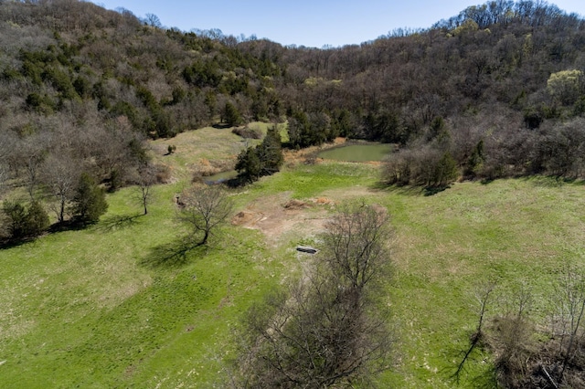 6876 Giles Hill Rd, College Grove, TN 37046 - photo 5