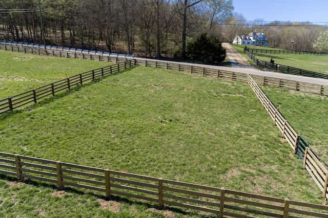 6876 Giles Hill Rd, College Grove, TN 37046 - photo 7