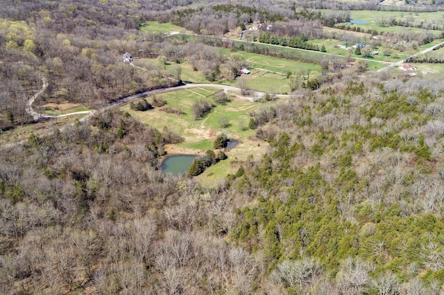 6876 Giles Hill Rd, College Grove, TN 37046 - photo 17
