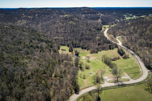 6876 Giles Hill Rd, College Grove, TN 37046 - photo 21