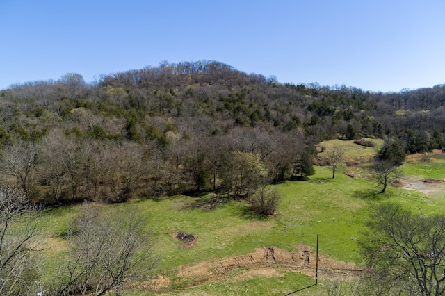 6876 Giles Hill Rd, College Grove, TN 37046 - photo 11