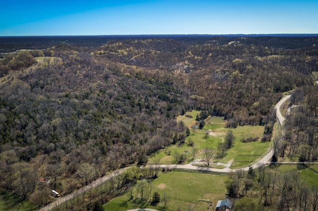 6876 Giles Hill Rd, College Grove, TN 37046 - photo 23