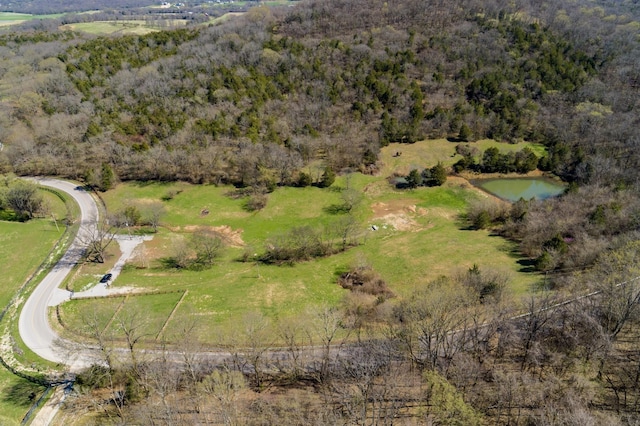 6876 Giles Hill Rd, College Grove, TN 37046 - photo 37