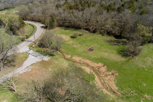 6876 Giles Hill Rd, College Grove, TN 37046 - photo 3