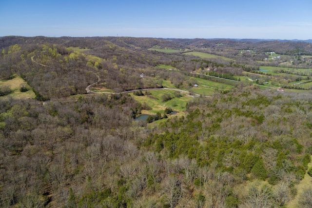 6876 Giles Hill Rd, College Grove, TN 37046 - photo 29