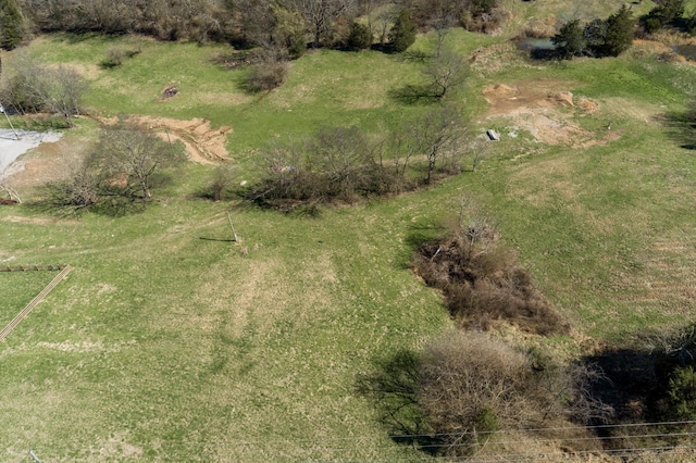 6876 Giles Hill Rd, College Grove, TN 37046 - photo 38