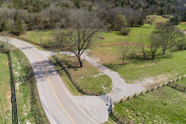 6876 Giles Hill Rd, College Grove, TN 37046 - photo 34