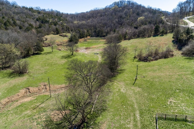 6876 Giles Hill Rd, College Grove, TN 37046 - photo 13