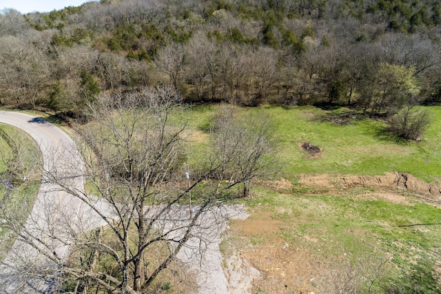 6876 Giles Hill Rd, College Grove, TN 37046 - photo 15