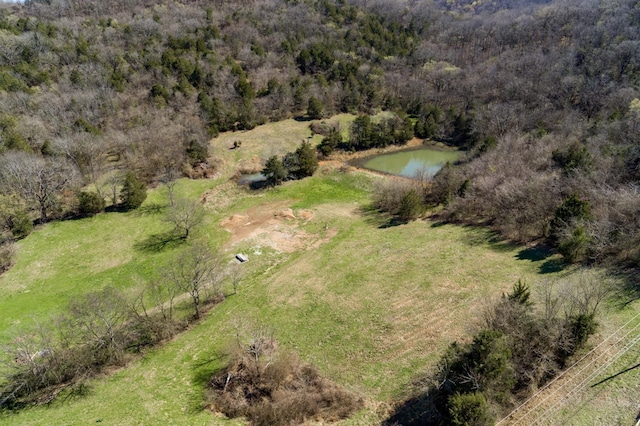 6876 Giles Hill Rd, College Grove, TN 37046 - photo 40