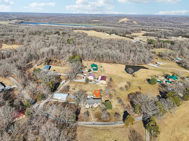 311 Downs Rd, Cumberland City, TN 37050 - drone / aerial view of a forest