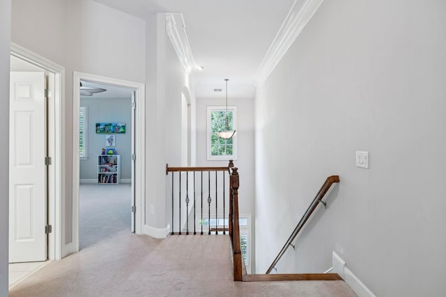 1007 State Blvd, Franklin, TN 37064 - photo 55