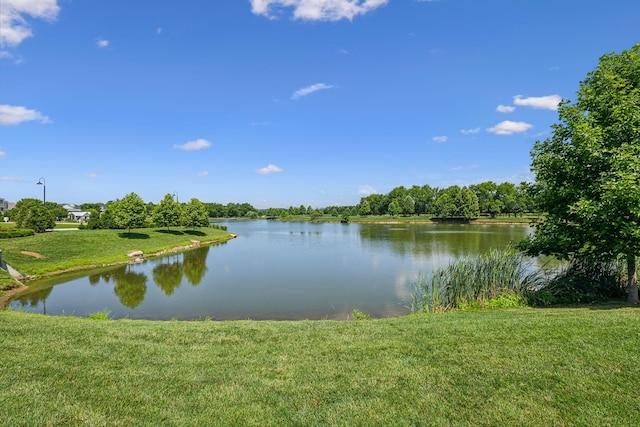 1007 State Blvd, Franklin, TN 37064 - photo 92