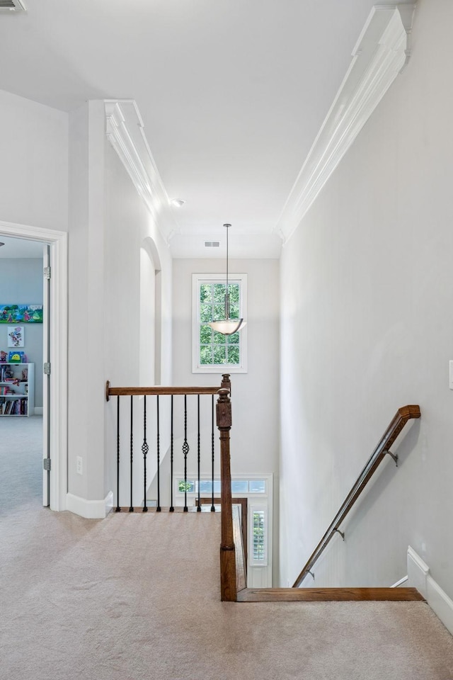 1007 State Blvd, Franklin, TN 37064 - photo 54