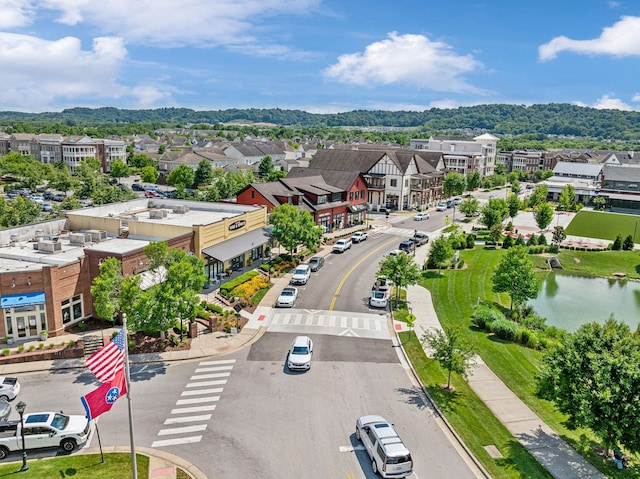 1007 State Blvd, Franklin, TN 37064 - photo 80