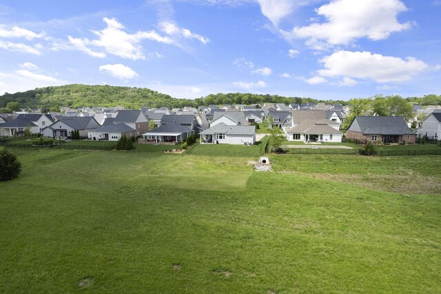 7530 Delancey Dr, College Grove, TN 37046 - photo 46