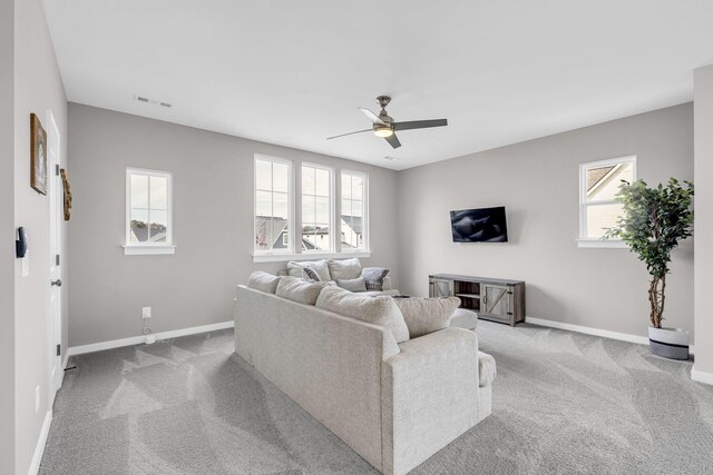 7530 Delancey Dr, College Grove, TN 37046 - photo 34