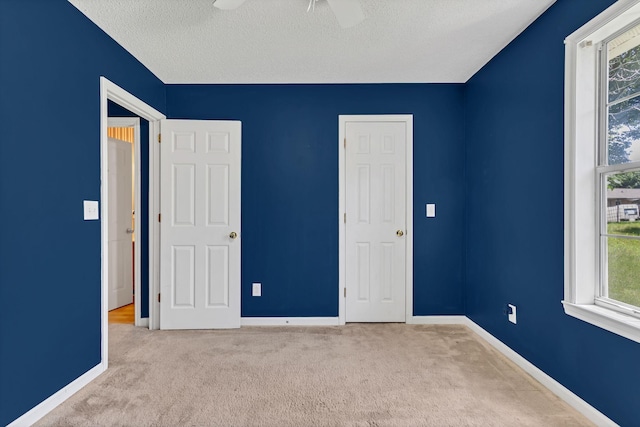 2915 Campbellsville Pike, Columbia, TN 38401 - photo 15