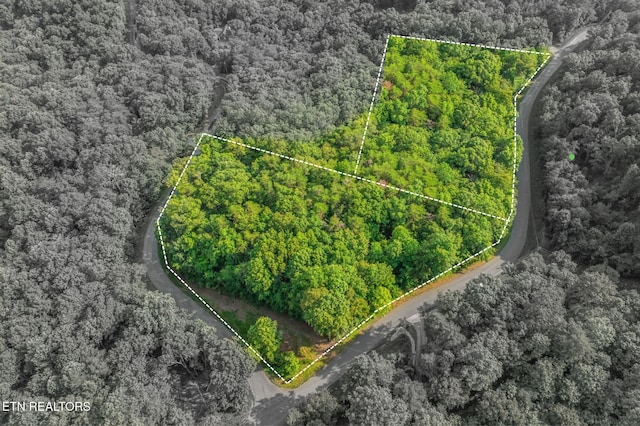 146147 Lakeview Dr, Sharps Chapel, TN 37866