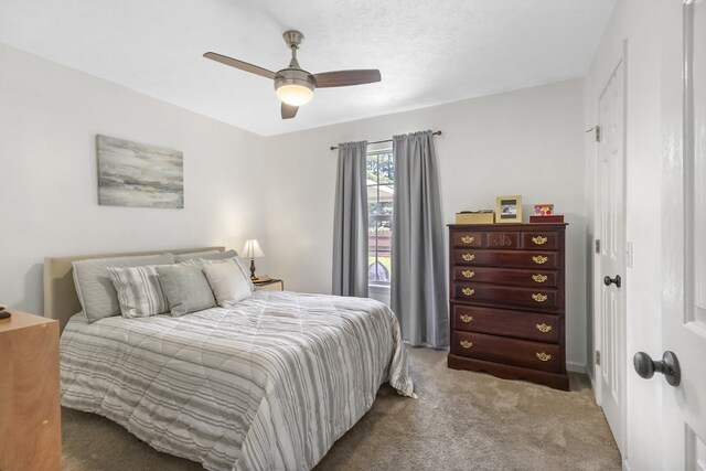 834 College St, Portland, TN 37148 - photo 24