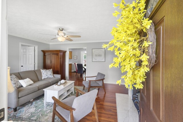 834 College St, Portland, TN 37148 - photo 8