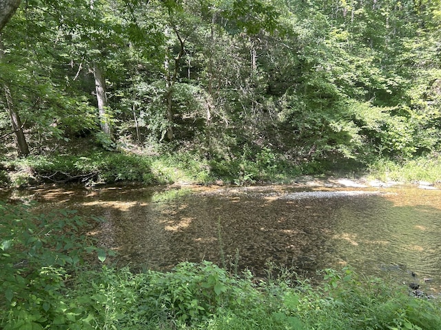 1775 Old Beech Creek Rd, Waynesboro, TN 38485 - view of wooded area