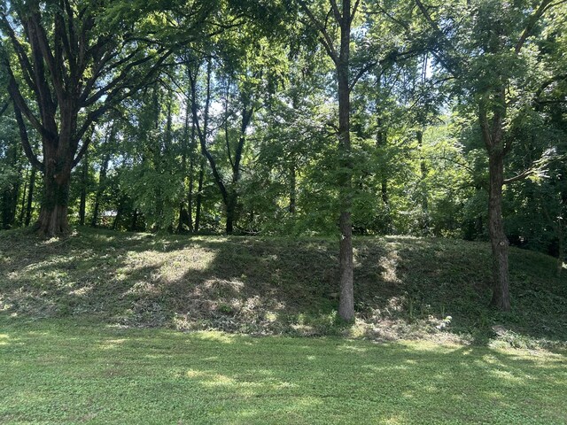 1775 Old Beech Creek Rd, Waynesboro, TN 38485 - view of yard