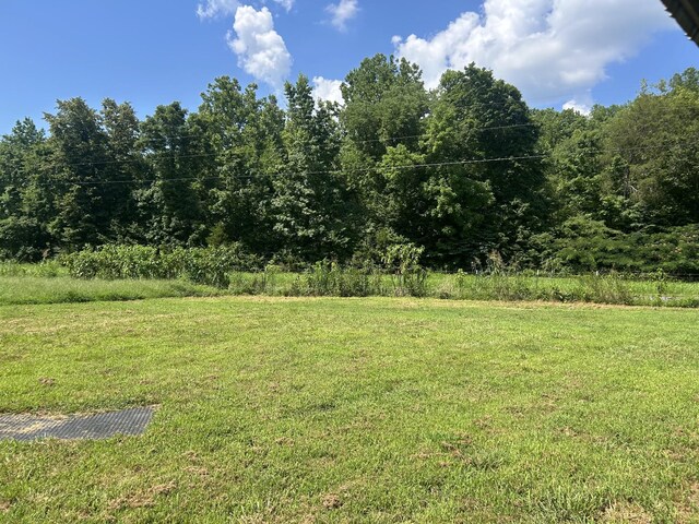 1775 Old Beech Creek Rd, Waynesboro, TN 38485 - view of grassy yard