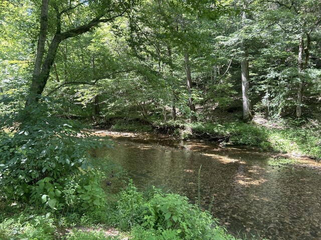 1775 Old Beech Creek Rd, Waynesboro, TN 38485 - view of tree filled area