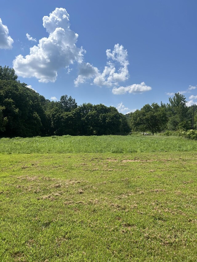 1775 Old Beech Creek Rd, Waynesboro, TN 38485 - view of yard with a rural view and a forest view