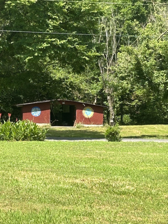 1775 Old Beech Creek Rd, Waynesboro, TN 38485 - view of green lawn