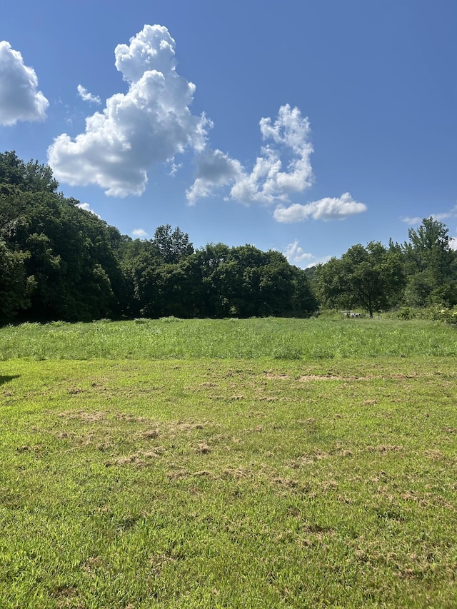 1775 Old Beech Creek Rd, Waynesboro, TN 38485 - view of yard featuring a forest view and a view of rural / pastoral area
