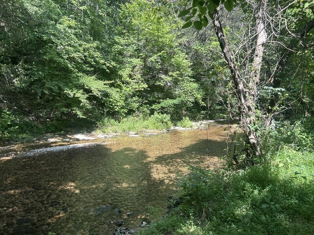 1775 Old Beech Creek Rd, Waynesboro, TN 38485 - view of wooded area