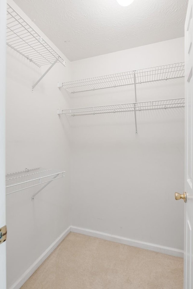 205 Ashtead Ct, Goodlettsville, TN 37072 - photo 27