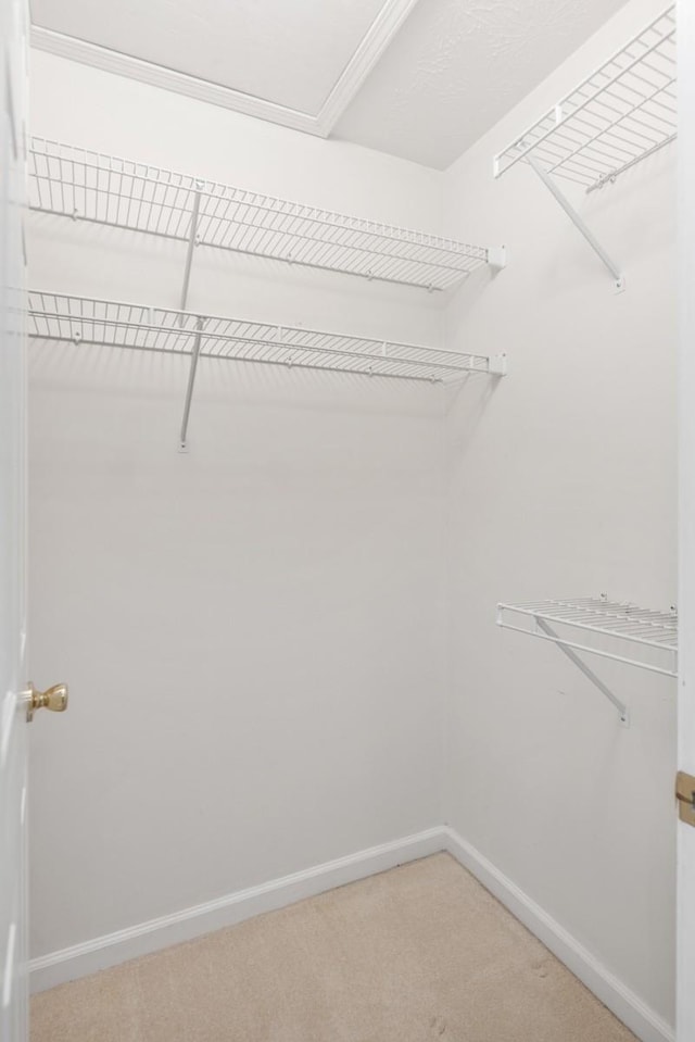 205 Ashtead Ct, Goodlettsville, TN 37072 - photo 26