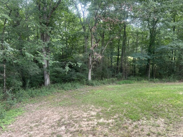 273 E Lake St, Camden, TN 38320 - view of woods