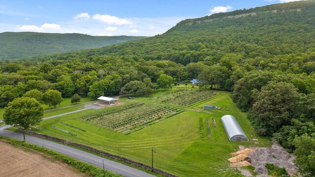 453 Hill Cir, Dunlap, TN 37327 - photo 86