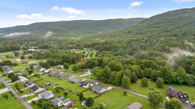 453 Hill Cir, Dunlap, TN 37327 - photo 40