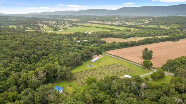 453 Hill Cir, Dunlap, TN 37327 - photo 87