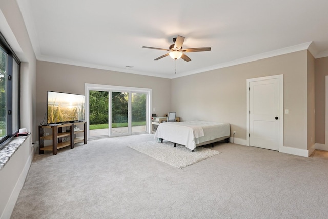 1099 W Sears Rd, Pegram, TN 37143 - photo 59