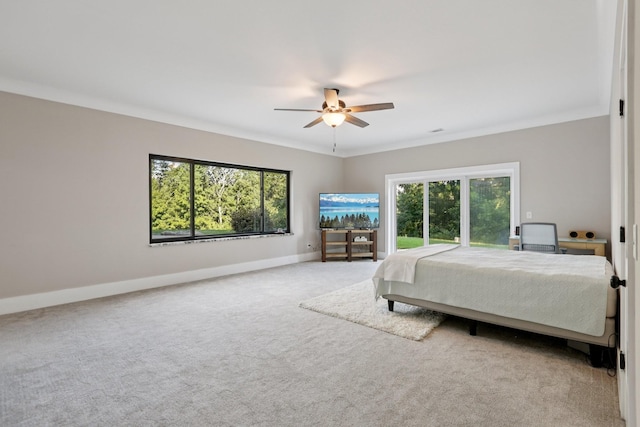 1099 W Sears Rd, Pegram, TN 37143 - photo 57
